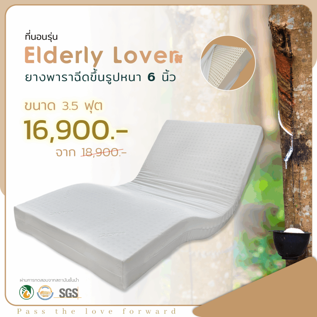 ELD01